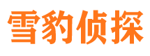 巍山私家调查公司